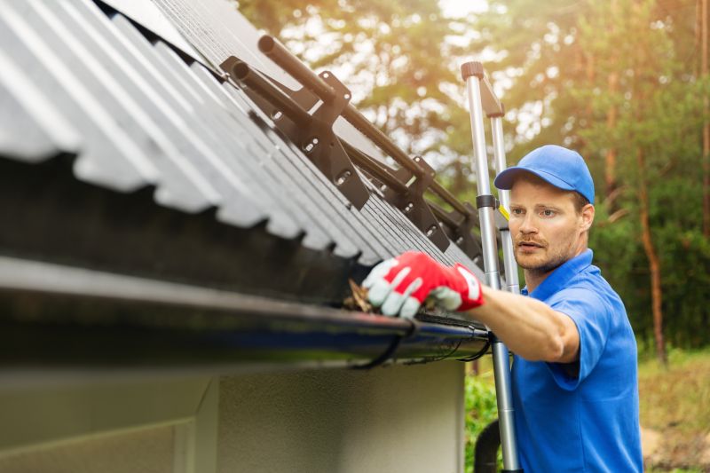 Gutter and Exterior Fixes