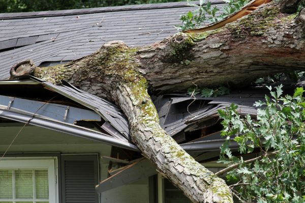 Storm Remediation in Fort Collins