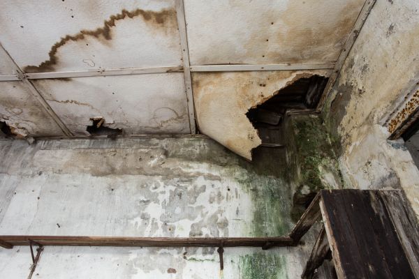 Water Damage Service in Fort Collins
