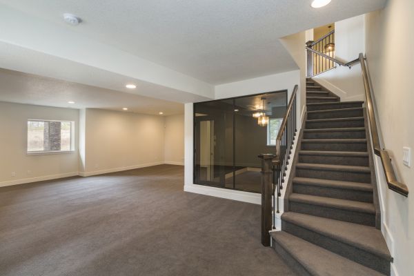 Basement Restoration Service in Fort Collins