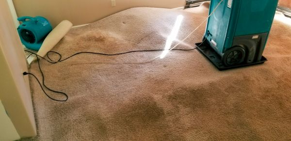 Flood Damage Cleanup in Fort Collins