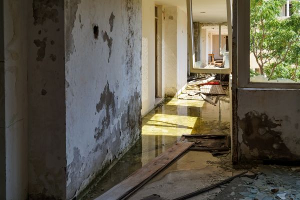Water Removal Service in Fort Collins