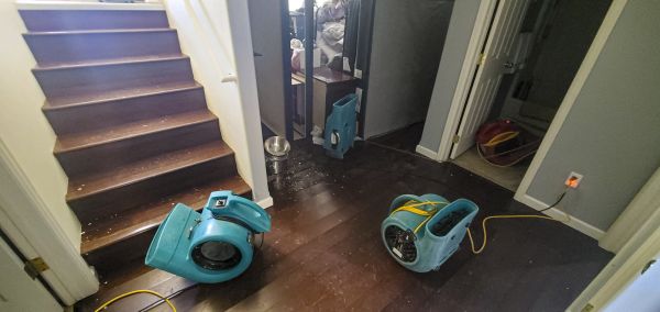 Water Damage Remediation in Fort Collins
