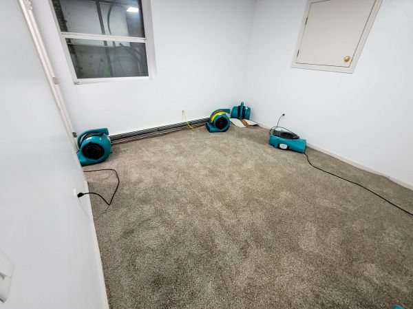 Flood Restoration Service in Fort Collins