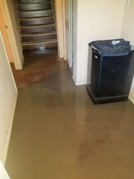 Emergency Water Removal in Fort Collins