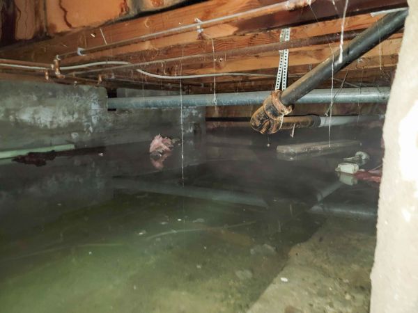 Crawl Space Drying in Fort Collins