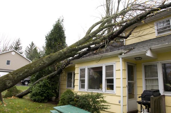 Hurricane Damage Repair in Fort Collins