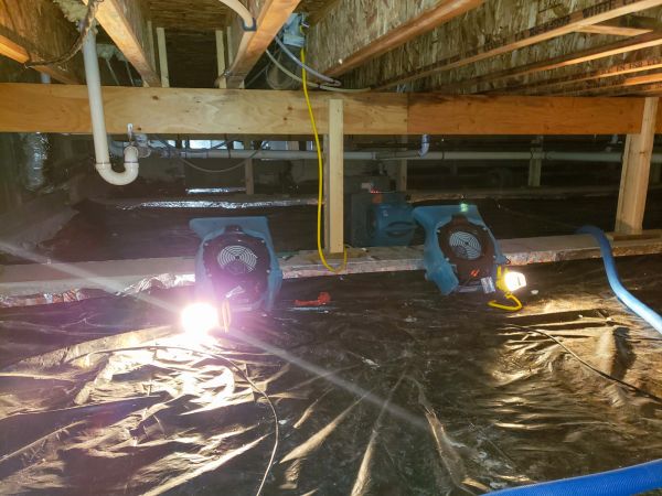 Crawlspace Water Removal in Fort Collins